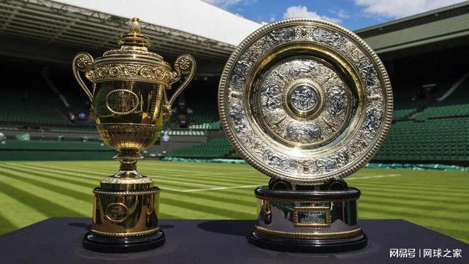 他们却用顽 他们却用顽